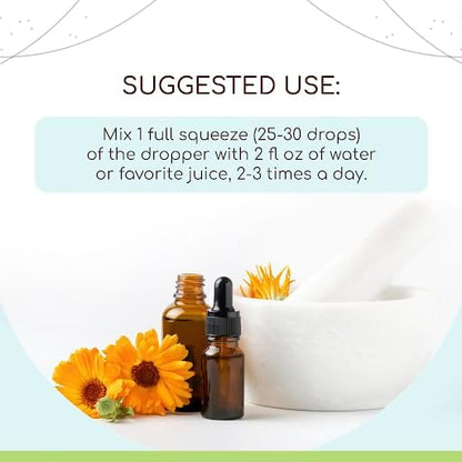 Herbal Cleanse Organic Alcohol-Free Tincture | Detox and Cleanse Formula, Extract Supplement | Organic Wormwood Herb, Black Walnut Hull, Cloves Flower Buds | Purge Extract (2 fl oz)