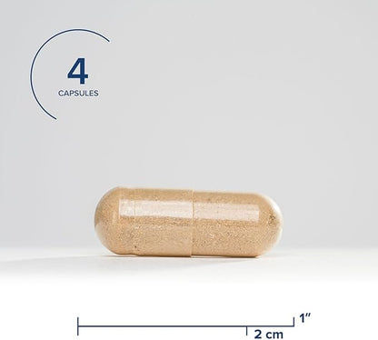 Seeking Health Optimal Man Multivitamin - Supplement with Zinc, Active Folate, & Alpha-Lipoic Acid - Multivitamin Supports Energy & Brain Health - Support Healthy Aging & Men's Health - 30 Servings