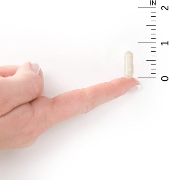 Garden of Life Raw Calcium Supplement for Women and Men - Vitamin Code Made from Whole Foods with Magnesium, K2, Vitamin D3 and Vitamin C Plus Probiotics for Digestion, 60 Capsules