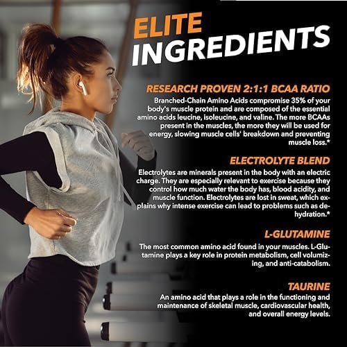 SteelFit Steel Fuel BCAA + Electrolyte Powder | Sugar-Free 2:1:1 Amino Acids Formula | Watermelon Lemonade, 30 Servings | No Crash Workout Hydration, Muscle Growth & Recovery