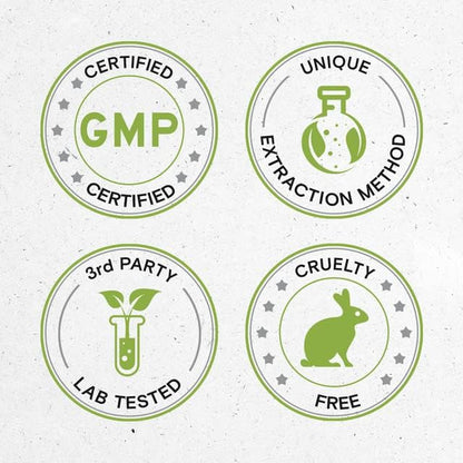 Secrets of the Tribe Onion 120 Capsules, Made with Vegetable Capsules and Onion (Allium Cepa) Dried Bulb (120 Capsules)