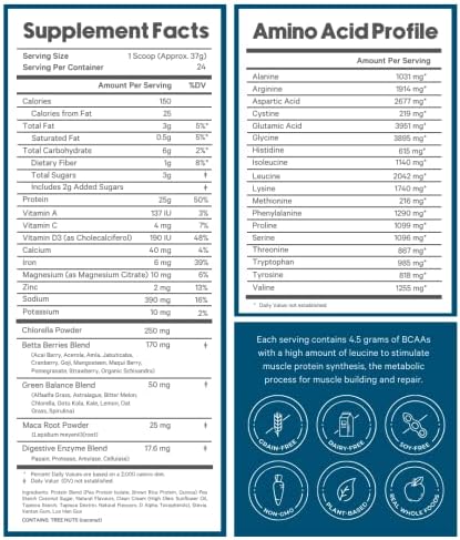 Vegan Protein Shake by LyfeFuel | Plant-Based Protein Powder with BCAA, Greens & Superfoods for Sports Performance, Recovery & Lean Muscle Building | Clean Whey Protein Powder (Vanilla, 24 Servings)