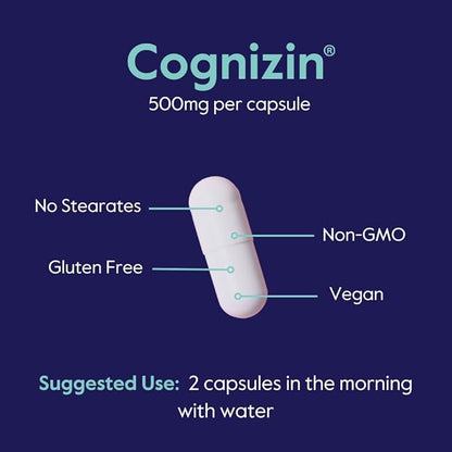 BESTVITE Cognizin 500mg (120 Vegetarian Capsules) (60x2) - Clinically Studied Premium Choline Nootropic - No Stearates - Vegan - Non GMO - Gluten Free - Brain Supplements for Memory and Focus
