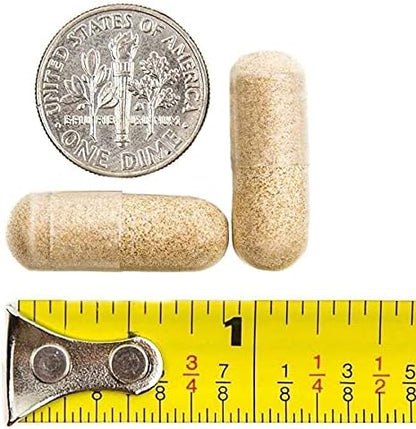 BariatricPal Multivitamin ONE 1 per Day! Bariatric Multivitamin Capsule - Iron Free (90 Count)