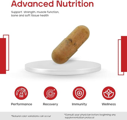 | Advanced Nutritional Support for Weekend Warriors - Comprehensive Multivitamin: Performance, Health, Wellness & Immunity - Premium Nutrient Forms - 120 Count