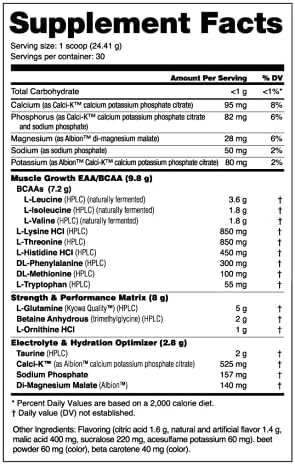 NutraBio Intra Blast BCAA EAA Electrolyte and Hydration Powder - Amino Acid Supplement, EAA/BCAA Powder - Non-GMO and Gluten Free - New York Punch - 30 Servings