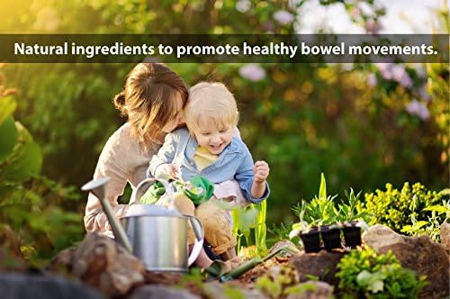 DrFormulas' Best Probiotics for Women & Men | Nexabiotic Multi Probiotic with Saccharomyces Boulardii, Lactobacillus Acidophilus, B. infantis, Prebiotic 60 Count Capsules (Not Pearls)