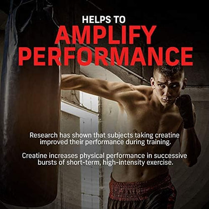 Muscletech Whey Protein Powder (Milk Chocolate, 2.2 Pound) - Nitro-Tech Muscle Building Formula with Whey Protein Isolate & Peptides - 30g of Protein, 3g of Creatine & 6.6g of BCAA