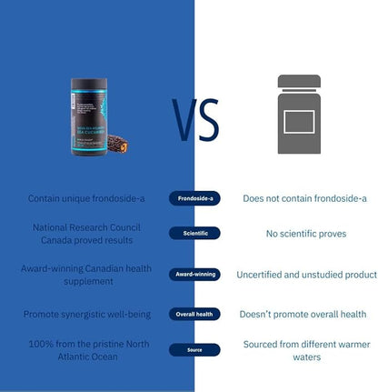 Sea Cucumber Supplement, Wild Caught Sea Cucumber Capsules with Fucosylated Chondroitin Vitamins Mineral — Natural Antioxidant Supplement for Elderly Adult Child (60 Capsules)