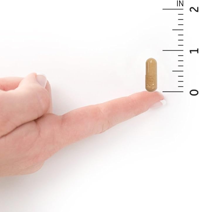 Garden of Life Vitamin E - Vitamin Code Raw Vitamin E Supplement with Vitamins A, D & K Plus Selenium, Fruit, Veggies & Probiotics, 60 Vegetarian Capsules, 125mg Whole Food Vitamin E for Heart Health