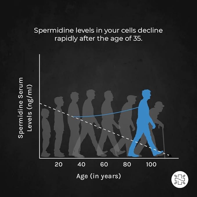 Neurogan Spermidine Supplement - 1200mg - 99% Pure 100x More Potent Than Rice & Wheat Germ Extract - for Cellular Health, Anti-Aging & Energy* - Made in USA - 10MG Per Serving - 120 Servings
