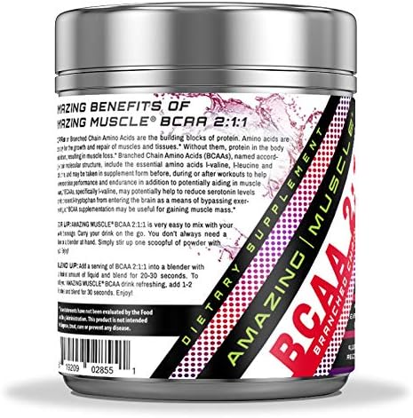 BCAA 2:1:1 Branched Chain Amino Acids - 6,000 MG - Promotes Lean Muscles - Supports Swifter Muscle Recovery - Enhances Endurance Levels (Wild Berry, 30 Servings)