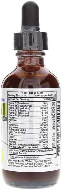 Systemic Formulas Fun Play - Support Children's Everyday Health and Wellness, 2 FL OZ Kidz Play #520. Multi-Vitamin-Mineral-Liquid.