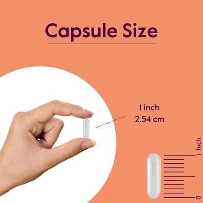 BESTVITE L-Glutamine 1000mg per Capsule (240 Capsules) - Free Form - No Stearates - No Fillers - Gluten Free - Non GMO - Pure L Glutamine Supplement - Maximum Strength Glutamine Capsules