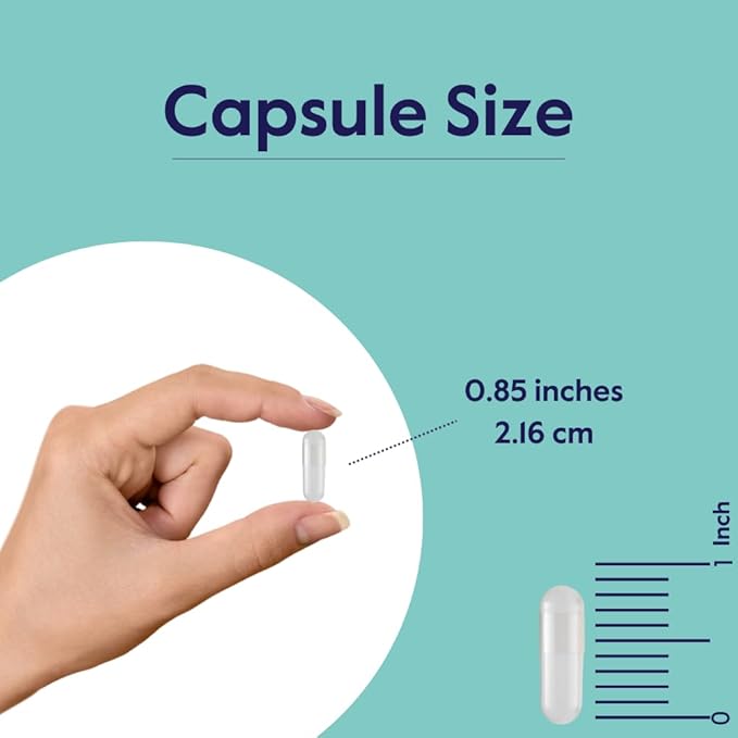 BESTVITE Cognizin 500mg (120 Vegetarian Capsules) (60x2) - Clinically Studied Premium Choline Nootropic - No Stearates - Vegan - Non GMO - Gluten Free - Brain Supplements for Memory and Focus