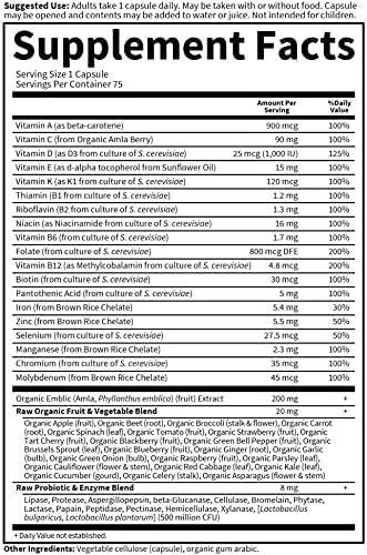 Garden of Life Vitamin Code Raw One Once Daily Multivitamin Capsules, Fruits, Veggies, Probiotics for Womens Health, Vegetarian, Gluten Free, 75 Count