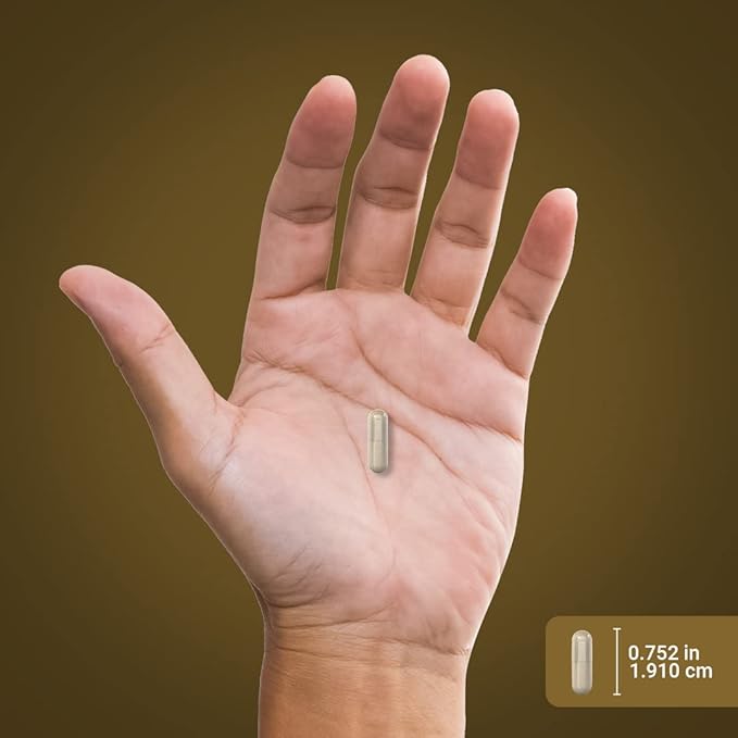 Piping Rock Pygeum Supplement 100mg | 240 Count | Standardized Extract | Non-GMO, Gluten Free