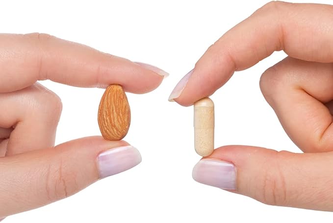 Seeking Health B Complex Plus - Vitamin B Complex Supplement with Choline & Riboflavin - Supports Brain Health, Digestion, & Energy - 100 Capsules