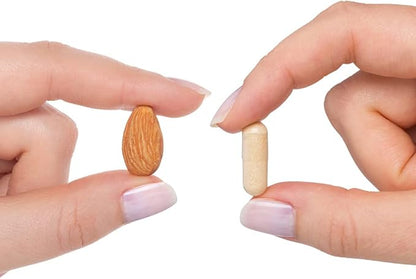 Seeking Health B Complex Plus - Vitamin B Complex Supplement with Choline & Riboflavin - Supports Brain Health, Digestion, & Energy - 100 Capsules