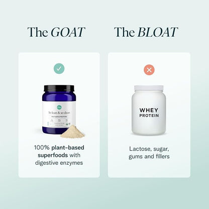 Ora Organic Plant-Based Protein Powder - 23g Protein for Women and Men - Vanilla Flavor 20 Servings, Vegan, Clean Protein, Third-Party Tested, Gluten-Free - 20 Servings