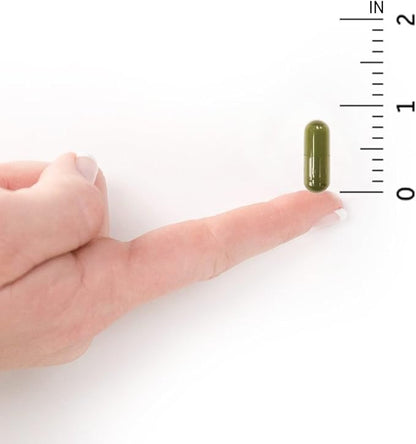 Garden of Life Vitamin D, Vitamin Code Raw D3, Vitamin D 2,000 IU, Raw Whole Food Vitamin D Supplements with Chlorella, Fruit, Veggies & Probiotics for Bone & Immune Health, 60 Vegetarian Capsules