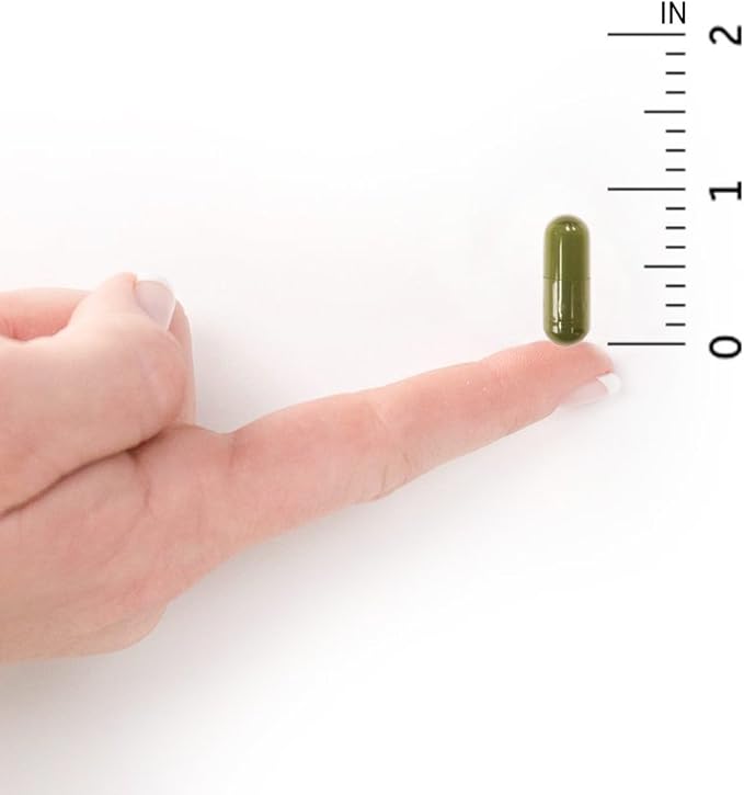 Garden of Life Vitamin D, Vitamin Code Raw D3, Vitamin D 2,000 IU, Raw Whole Food Vitamin D Supplements with Chlorella, Fruit, Veggies & Probiotics for Bone & Immune Health, 60 Vegetarian Capsules