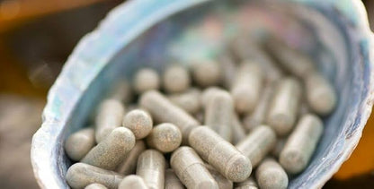 Energize Oyster Extract Supplement for Men & Women - Zinc, Taurine, Amino Acids - Supports Energy, 500 mg, 60 Veg Capsules