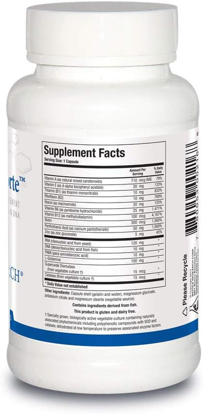 Biotics Research Nuclezyme-Forte™ – RNA/DNA B-Complex. Supplemental Source of RNA and DNA. Fortified Multivitamin/Mineral Formula 90 Caps.