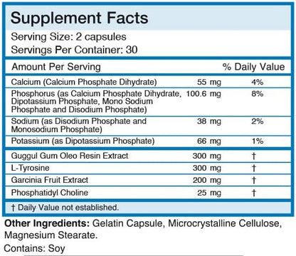 Fat Burning Metabolism Boosting Supplement, Thyroid T-3, 60 Capsules