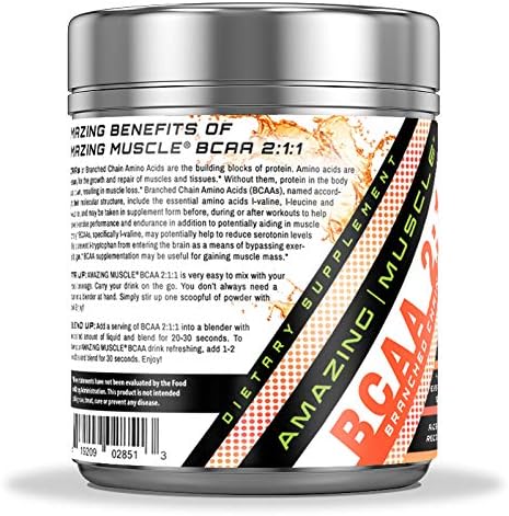 BCAA 2:1:1 Branched Chain Amino Acids Supplement | 6000 Mg Per Serving | Peach Lemonade Flavor | 30 Servings