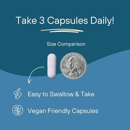 Shilajit Pure Himalayan Organic Capsules 15000mg with Irish Sea Moss, Ashwagandha, Copper, Beet Root - Fulvic Acid Trace Minerals Supplement for Men & Women - 90 Count, Non-GMO, Gluten-Free