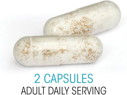 Silver Fern Ultimate Probiotic Supplement Vegicaps - Daily Metabolic Restoration, Guaranteed Survivability, DNA Verified Multi-Strain Probiotic Capsules (4 Bottles)