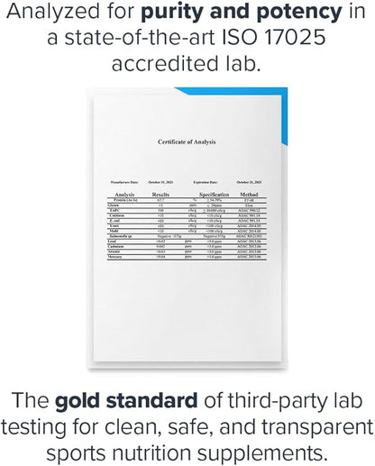 LEGION Plant+ Vegan Protein Powder, Vanilla - Rice and Pea, Plant Based Protein Blend. Gluten Free, GMO Free, Naturally Sweetened and Flavored, 20 Servings (Vanilla)
