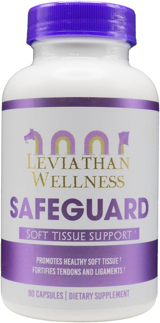 Safeguard - Joint and Soft Tissue Support