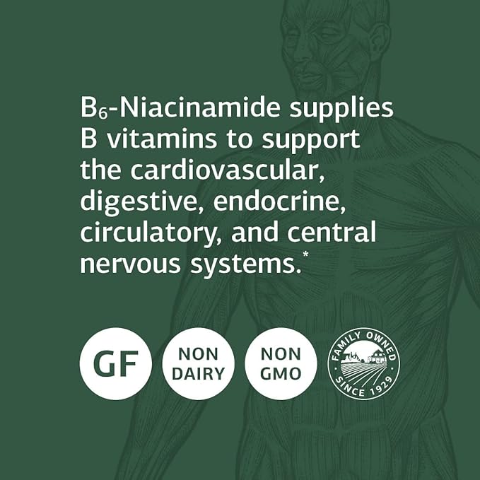 Standard Process B6-Niacinamide - Energy Metabolism, Heart Health, and Digestion Supplement with Vitamin B6, Niacin, Ascorbic Acid, Reishi Mushroom, Shiitake Mushroom, and More - 330 Tablets