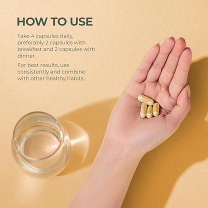 Primal Harvest 2 Pack, Primal Bone Health Calcium Carbonate Bone Health Complex for Men & Women with Calcium, Magnesium, Zinc, Manganese, Potassium, & L-Carnitine (240 Capsules)