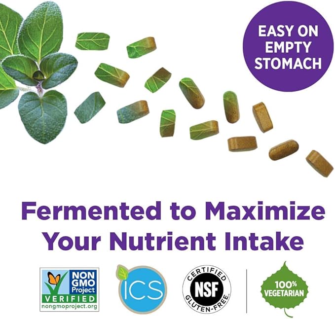 New Chapter Multivitamin for Men 50 Plus - Every Man's One Daily 55+ with Fermented Probiotics + Whole Foods + Astaxanthin + Organic Non-GMO Ingredients - 90 ct