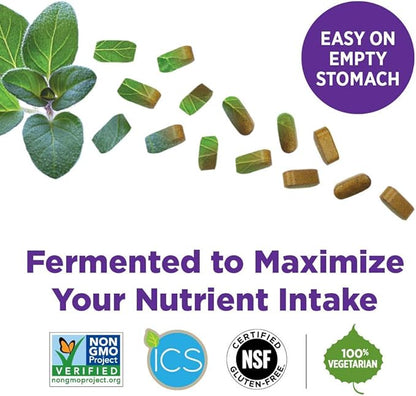 New Chapter Multivitamin for Men 50 Plus - Every Man's One Daily 55+ with Fermented Probiotics + Whole Foods + Astaxanthin + Organic Non-GMO Ingredients - 90 ct