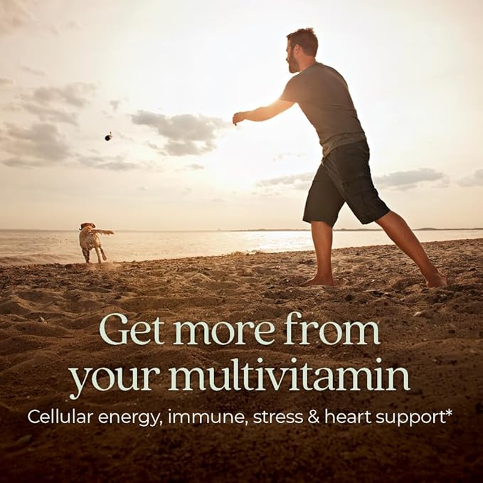 New Chapter Men's Multivitamin for Immune, Stress, Heart + Energy Support with Fermented Nutrients - Every Man's One Daily, Made with Organic Vegetables & Herbs, Non-GMO, Gluten Free - 96 ct