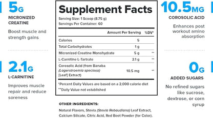 LEGION Recharge Post Workout Supplement (Strawberry Lemonade) - All Natural Muscle Builder & Recovery Drink with Micronized Creatine Monohydrate. Naturally Sweetened & Flavored 60 Serving