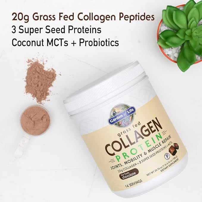 Garden of Life Grass Fed Collagen Protein Powder - Chocolate, 14 Servings, Collagen Powder for Joints Mobility Muscle Repair, Collagen Peptides Super Seeds Coconut MCTs, Keto Collagen Supplements