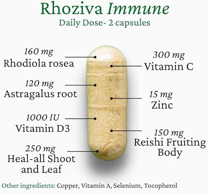 Immune Support, Energy Booster with Vitamin C, D3 and Zinc Supplement, Rhodiola Rosea, Reishi Mushroom Extract, Astragalus, Overall Wellness and Daily Habit - 60 Capsules