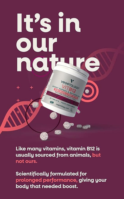 Vegan Vitamin B12 Sublingual Energy Supplements — Metabolism Vitamins & Health Supplements — Daily Supplements (60 Vitamin Tablets)