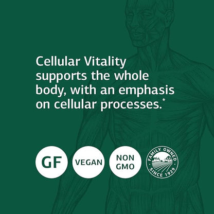 Standard Process B Vitality with CoQ10 - Supports Cellular Processes with Thiamine, Biotin, CoQ10, Vitamin B12, Riboflavin, Niacin, Vitamin B6, Folic Acid, Pantothenic Acid, Ginseng - 90 Capsules