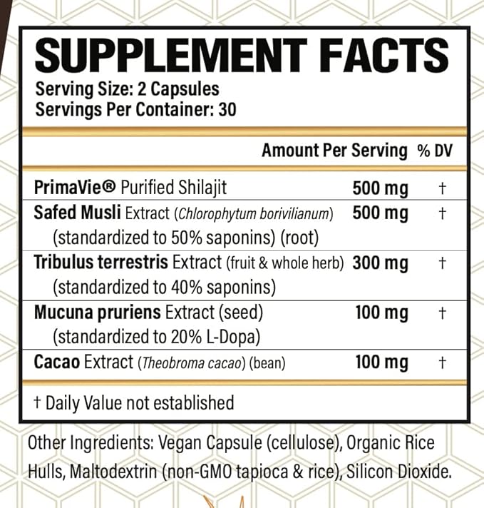 Daily 60 Vegan Capsules | The Natural Choice for Men