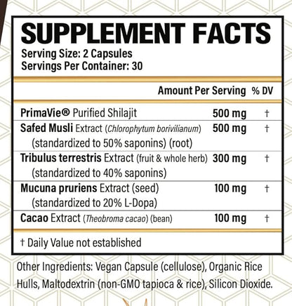 Daily 60 Vegan Capsules | The Natural Choice for Men