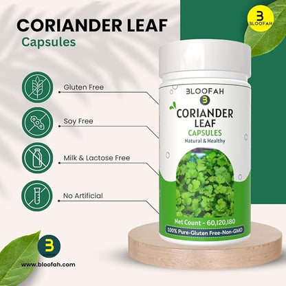 Coriander Leaf Capsules 500mg - 120 Count | 100% Pure Coriander Extract 10:1 (Coriandrum sativum) Leaf Powder Supplement | Natural Body Cleansing & Detox | Non-GMO, Gluten Free Formula