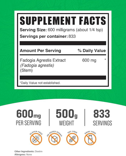 BulkSupplements.com Fadogia Agrestis Extract Powder - Fadogia Agrestis Supplement, Fadogia Agrestis 600mg - for Energy Boost, Gluten Free, 600mg per Serving, 500g (1.1 lbs) (Pack of 1)