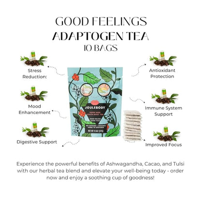 JOULEBODY 5 PM Good Feeling Organic Tulsi Tea | Post Workout Immunity Boost | 10 Count