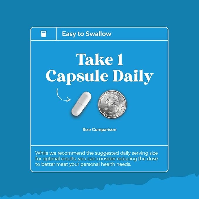 NAC Supplement N-Acetyl Cysteine 600mg - Vegan High Absorption Non-Smelly NAC 600 mg Capsules Glutathione Precursor for Liver Cleanse Detox & Repair plus Lung Health and Immunity Support (240ct)